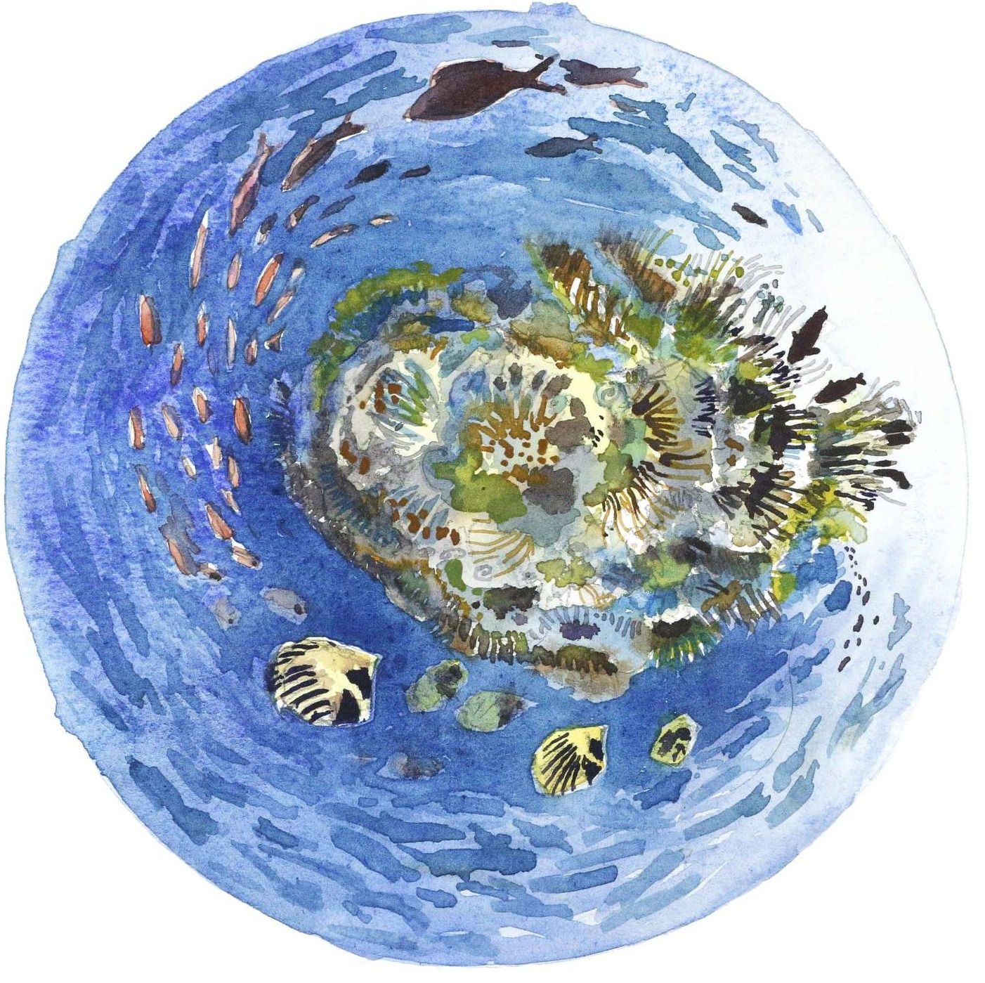 Plongée sous-marine