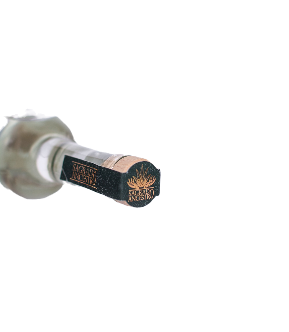 Thumbnail: Mezcal Variety: Tepeztate