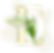 graphic-letter-e_2x.png