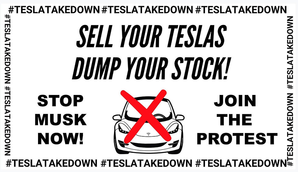 tesla takedown.jpeg