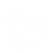 BCO_edited.png