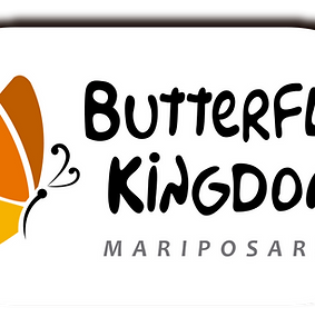 LOGO CAPSULA BK ULTIMO_edited.png