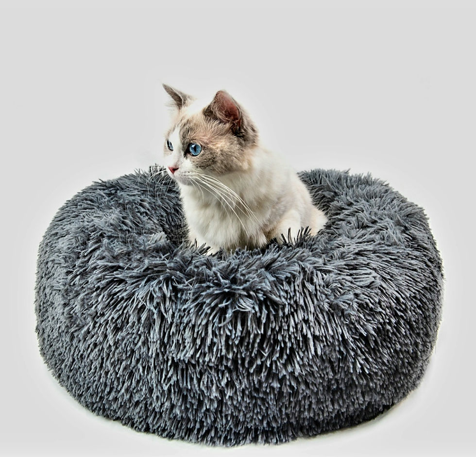 Thumbnail: Cat&Dog Beds For Small Dogs Round Plush Cat Litter Kennel Pet Nest