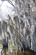 A-D DESIGN_WEB_Photos_PIC24.JPG