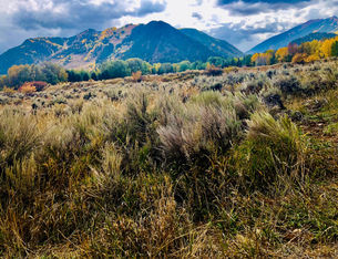 A-D DESIGN_WEB_Photos_PIC29.jpg