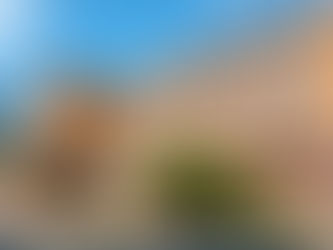 Christ the King: A Mature Witness of Faith in Johannesburg