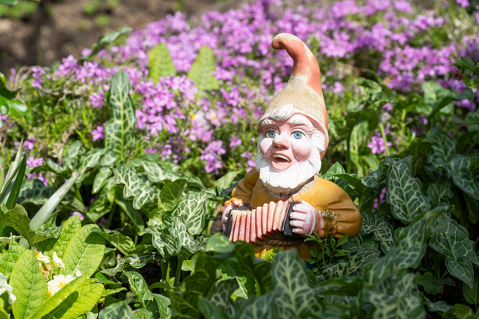 20250419_schrebergarten_fluntern_DSC3882.jpg