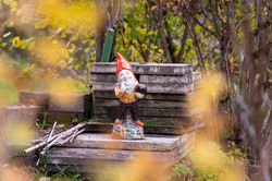 20251101_FGV_Fluntern_Herbstimpressionen_DSC2686