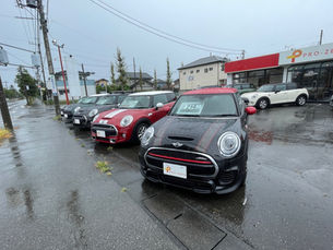 MINIが続々入荷中!!!