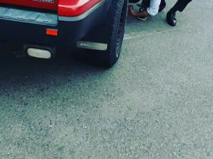 オンライン商談 ライブで車両確認