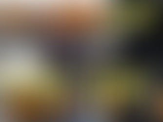 MINI APP 中古で購入したMINIで使える?
