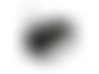 Servidores não serão fechados