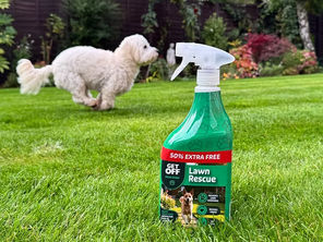 Retailers Give GET OFF® Paws Away the Thumbs-Up