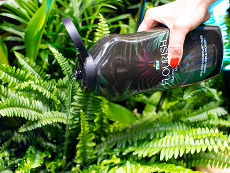 Flourish by Fito® - Beautiful Houseplants Made Easy