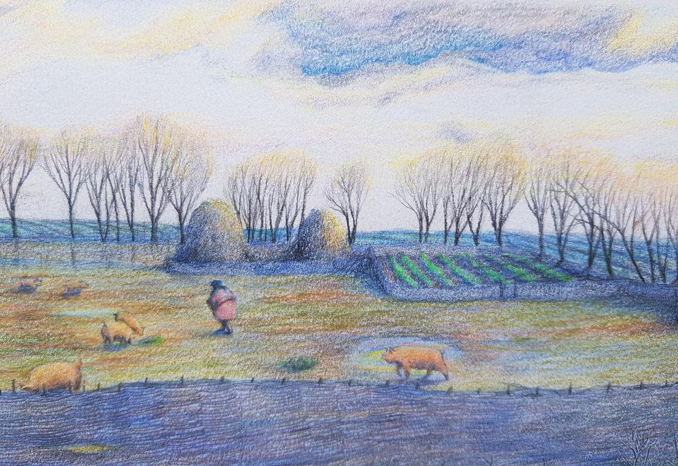 Drawing of a medieval farm.