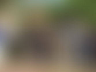 B2 Kurs besucht Krankenhaus