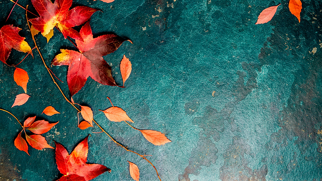 סדרת המשוררים.png