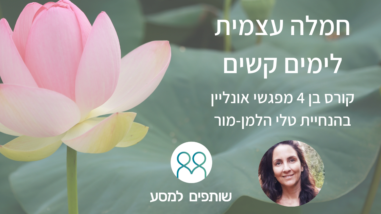 חמלה עצמית לימים קשים - טלי הלמן מור | שותפים למסע