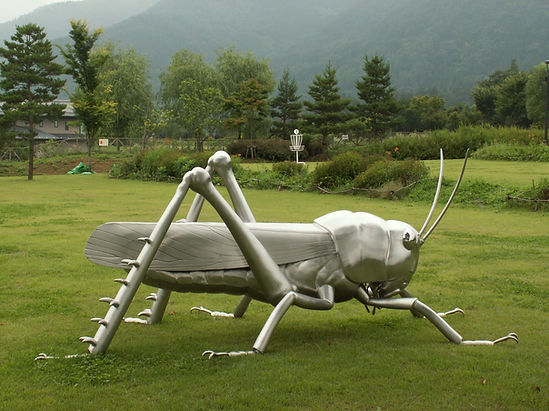 69948067_1002607733425321_68850465593486