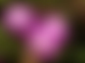 Güneşin Neon Renkleri