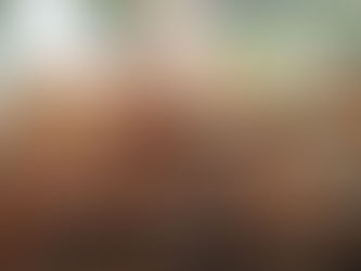 Karıncalar Bahçeler İçin Dost mu Düşman mı?