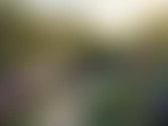 Aroma Terapi Bahçesi