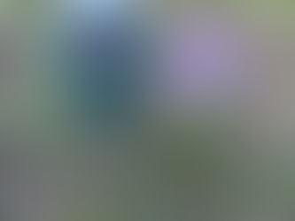 Toprağın Ph derecesi nasıl belirlenir?