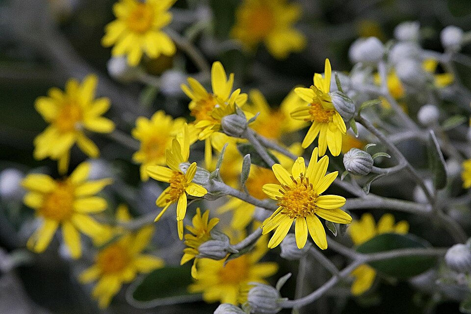 Photo by: Stephen James McWilliam