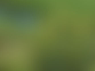 Doğanın Altın Saçlı Savaşçısı