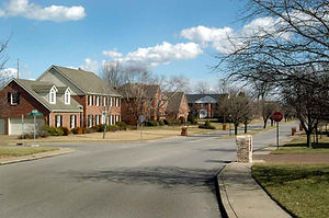WCEDD_photography9.jpg
