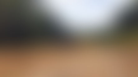 Al amanecer, una nueva oportunidad: Diario de una vuelta al mundo en bicicleta | Camboya