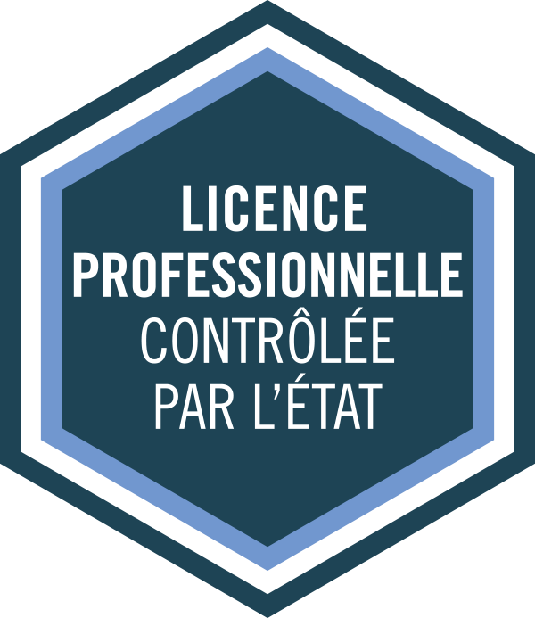 Licences pro.