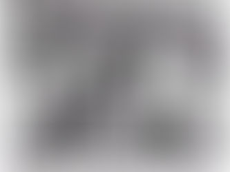 한 독일인이 쓴 “한민족과 일본”이야기