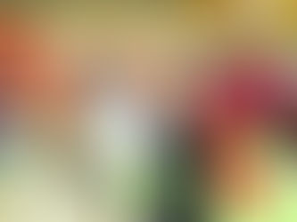 미국 복음주의, 트럼프 대통령 당선 견인차 역할 – 81%가 지지