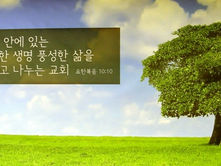 뉴저지 포트리에 개척교회 – 라이프 처치 8월5일 개척 공식예배 드려.