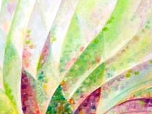 재의 수요일과 사순절 소고(小考)