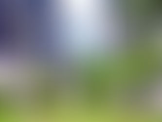 복음의 씨앗 들고 온 초창기 선교사들  선교사 묘역의 그들이 오늘날 교회를 본다면…