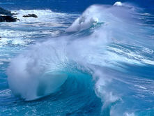 "하나님이 모든 것을 창조 하셨는가?"