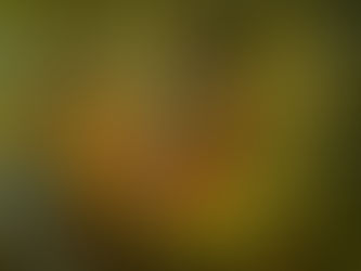 이정미 박사의 성경 속 상식 하나님의 선하신 날개 아래