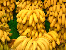 다시보자 “바나나”