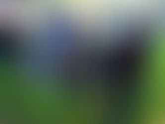 그들은 거기서 무엇을 했나?( 1 )