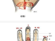 우리몸에 숨겨진 유익한 비밀들