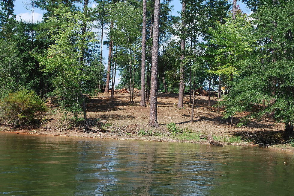 Under brushing at Woodside Shores development Newberry County