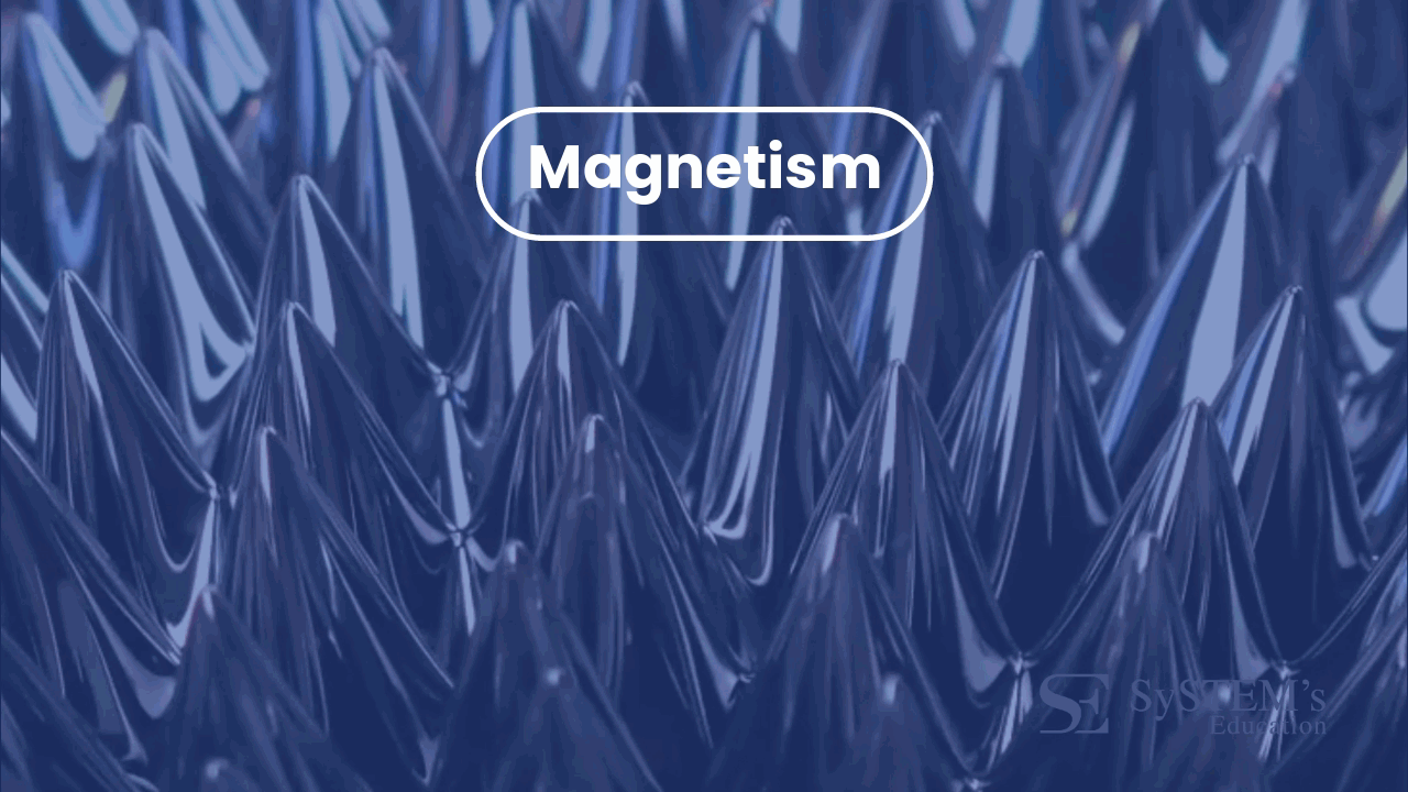 SE Magnetism