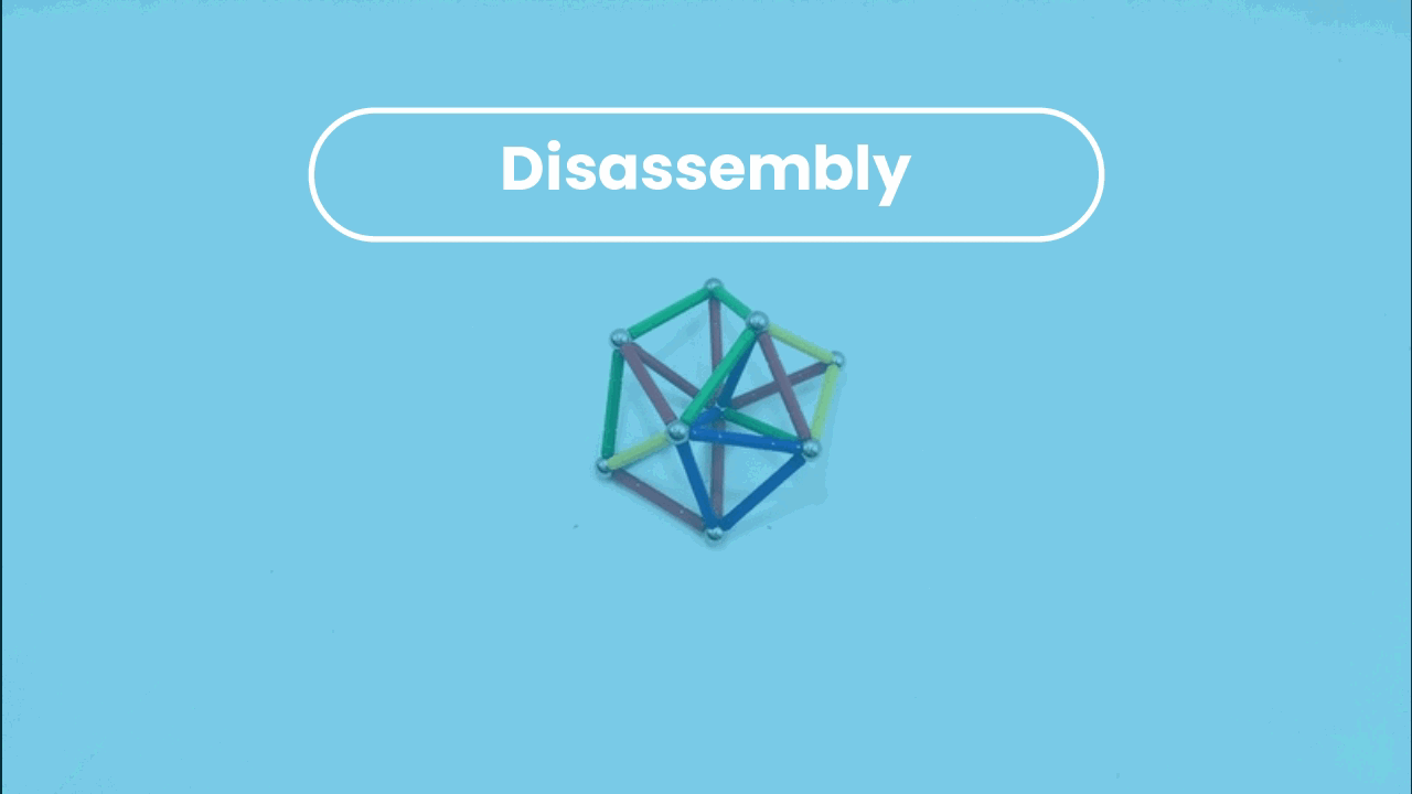 SE Disassembly