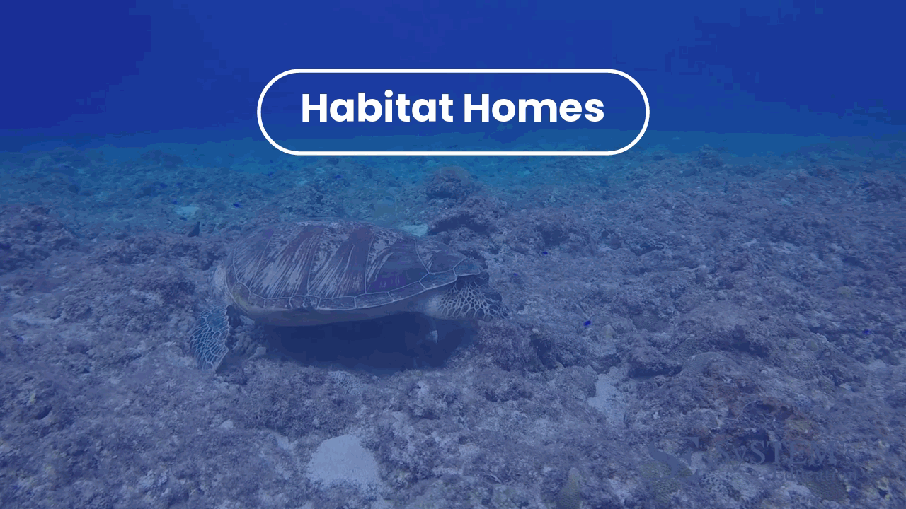 SE Habitat Homes
