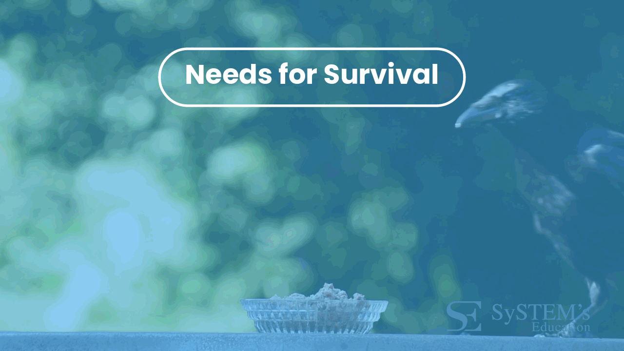 SE Needs for Survival