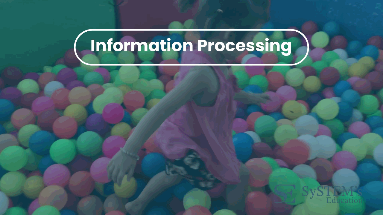 SE Information Processing