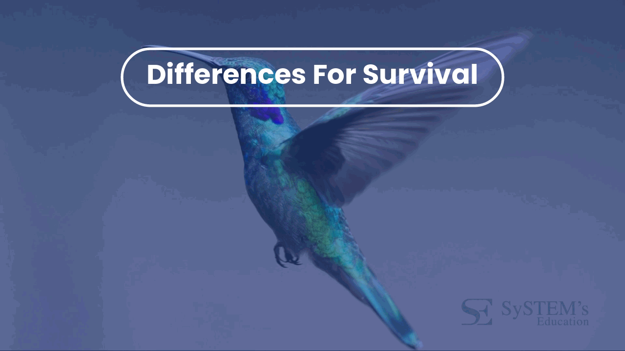 SE Differences for survival