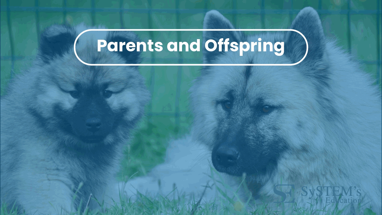 SE Parents and Offspring